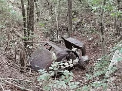 Altlasten im Wald