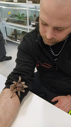 Zu Besuch bei Arachno-Room in Liestal BL