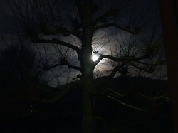 Vollmond morgens