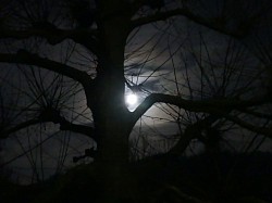 Vollmond morgens