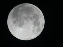 Vollmond