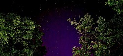 Nordlicht 11.05.2024