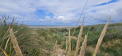 Juno Beach