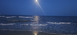 Bibione