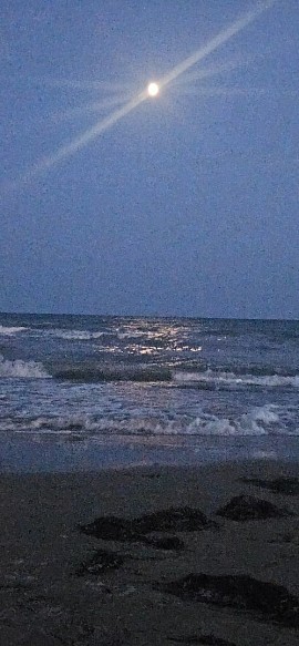 Bibione